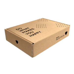 Caja para envíos plana mediana medida 26.5×19.5x6cm